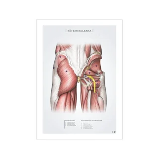 Stĺpik na sedacie svaly 50x70 mm