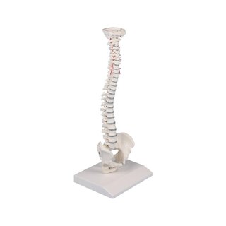 Miniatúrna chrbtica