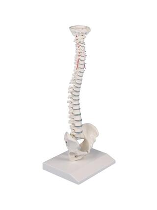Miniatúrna chrbtica