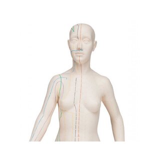 Akupunktúrny model 70 cm - Žena